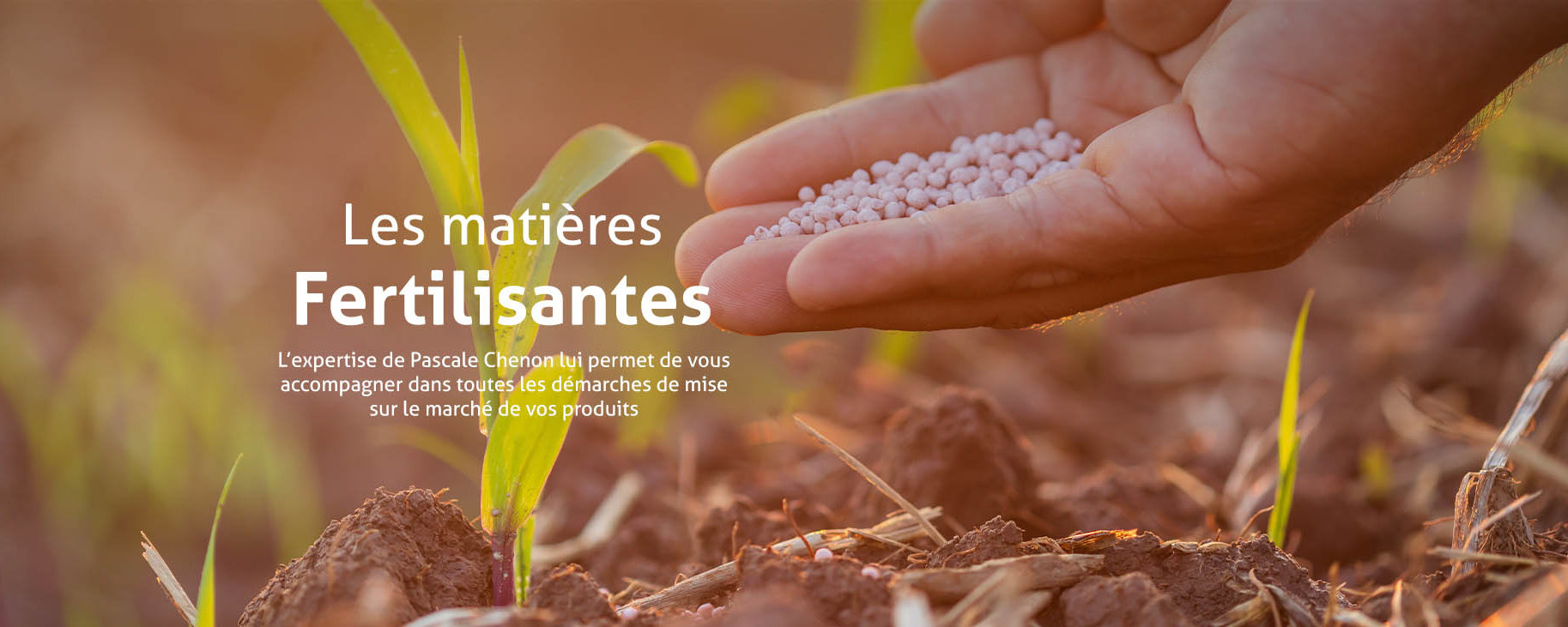 Accompagnement mise sur le marché fertilisants
